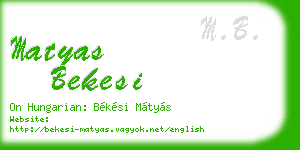 matyas bekesi business card